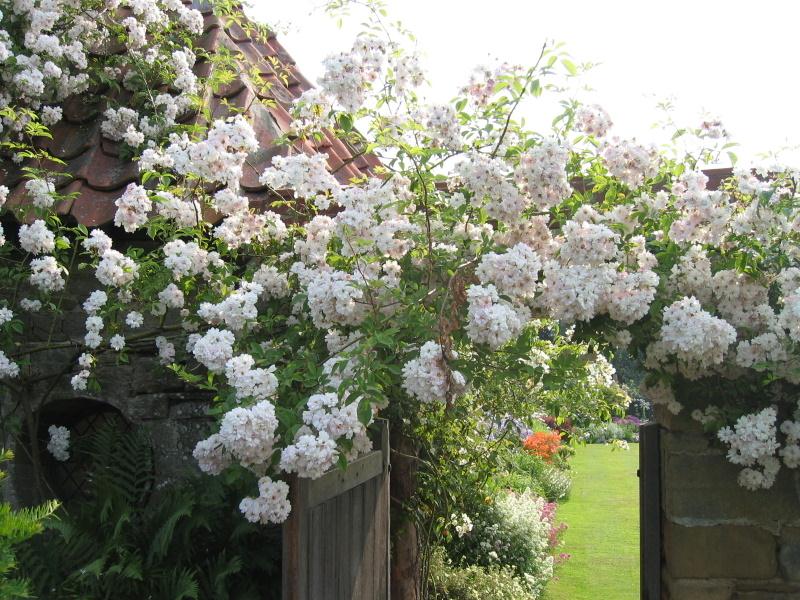 Whalton Manor Gardens